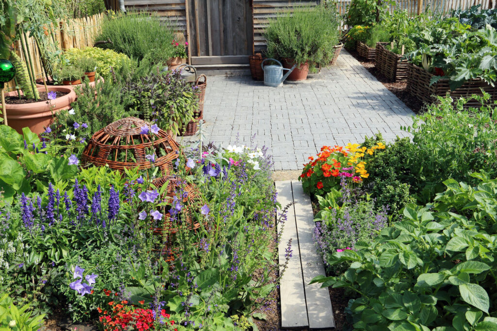 Wonderful herb and flower garden